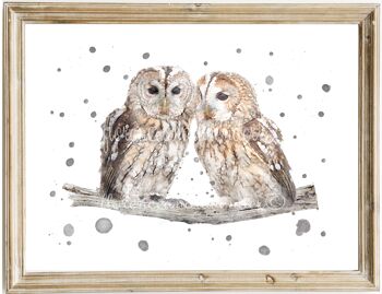 Owl Love - Chouettes hulottes 1