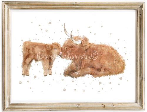 Highland Cow with Spring Greenery Art Board Print for Sale by