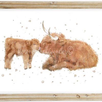 Unconditional Love' Highland Cow Print