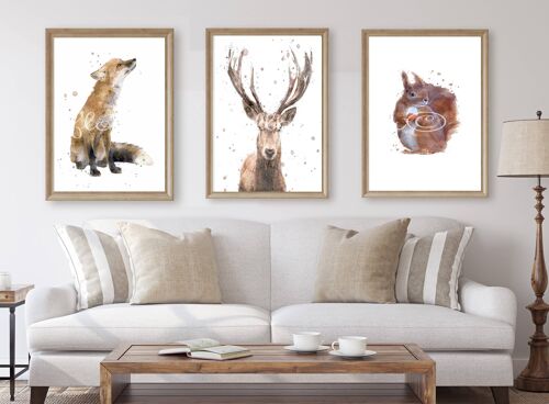 Fox, Squirrel & Stag Collection