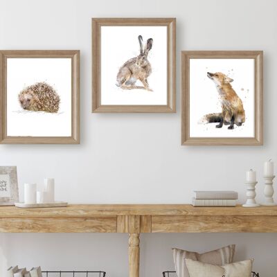 Trio d'estampes d'animaux de la forêt des beaux-arts