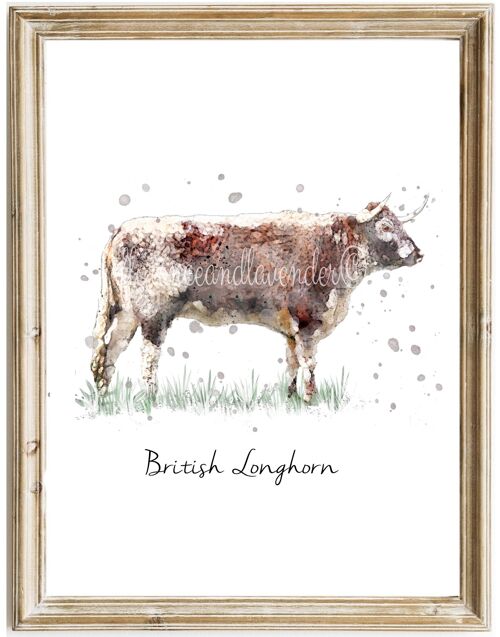 British Longhorn Cow Print