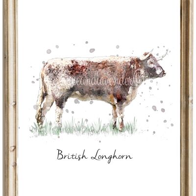Stampa britannica di mucca Longhorn