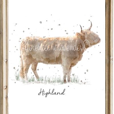 Highland Kuh Druck