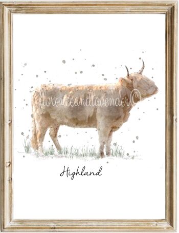 Imprimé Vache Highland 1