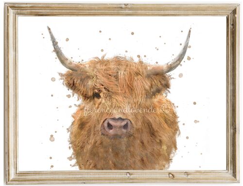 Florrie' The Highland Cow Print