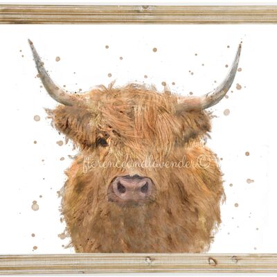 Florrie' La stampa della mucca delle Highland