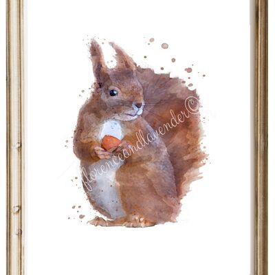 Chesnut' Squirrel Print