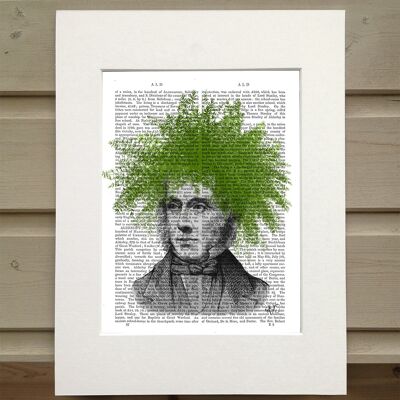 Plant head gentleman, asparagus fern, Book Print, Art Print, Wall Art