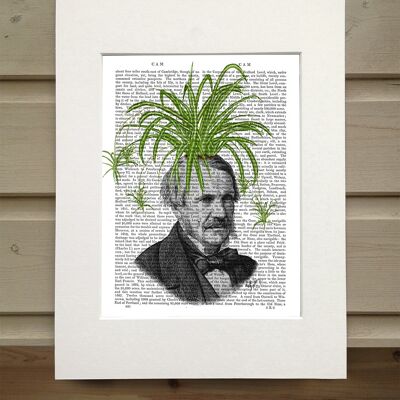 Pflanzenkopf Herr, Grünlilie, Buchdruck, Kunstdruck, Wandkunst