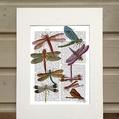 Dragonflies 3, Book Print, Art Print, Wall Art