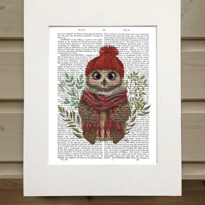 Owl in tartan scarf, Cabin Book Print, Art Print, Wall Art