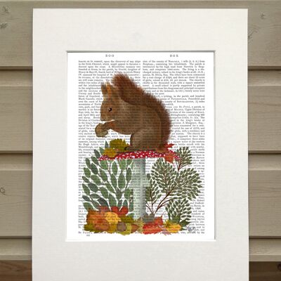 Eichhörnchen rot auf Pilz, Kabine Buchdruck, Kunstdruck, Wandkunst