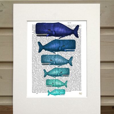 Familia de ballenas azules, Impresión de libros náuticos, Impresión de arte, Arte de pared