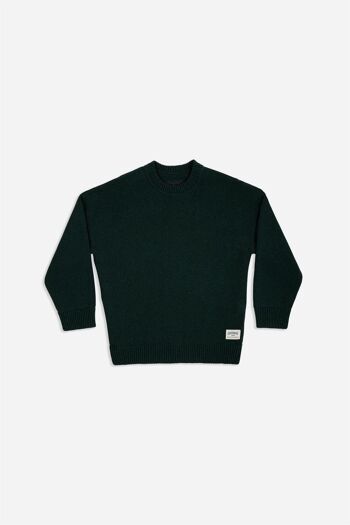 GOODBOIS - CLAIM KNIT CREWNECK VERT 1