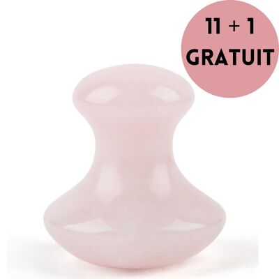 Set of 11 + 1 Free - Champi Gua Sha in Rose Quartz For Face and Body