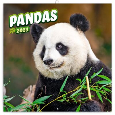 Calendar 2023 Panda