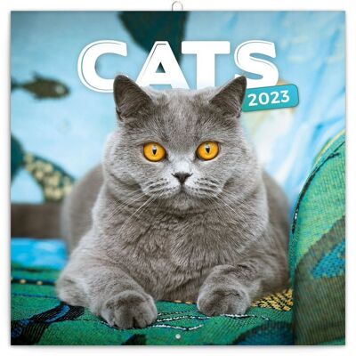 Kalender 2023 Glückliche Katze