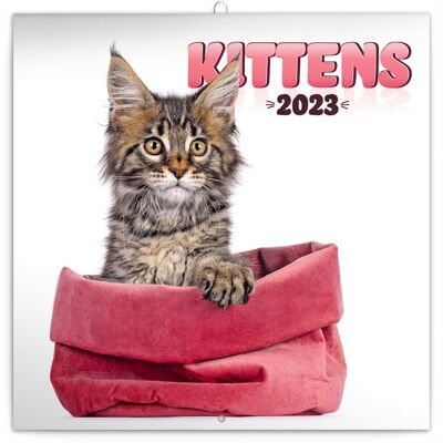 Calendario 2023 gattino felice