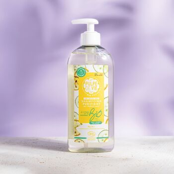 Shampoing Purifiant avec prébiotiques, usage cuir chevelu gras, à base de Citron & Concombre 400 ml, cosmétique antigaspi bio, format recharge, Upcycling, SORBET GIVRE, formule naturelle 1