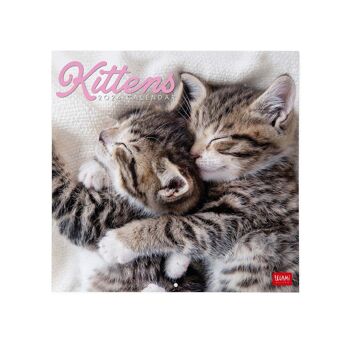 Calendrier 2024 Chatons 1