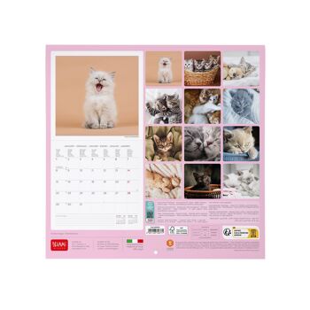Calendrier 2024 Chatons 3