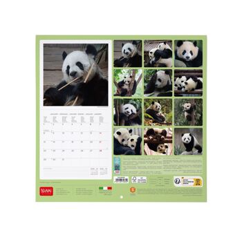 Calendrier 2024 Panda 2