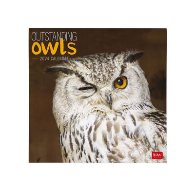 2024 Owl Calendar