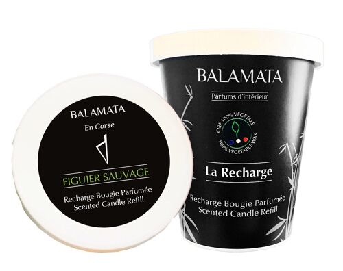 Figuier Sauvage - Recharge Bougie Parfumée 200G - En Corse