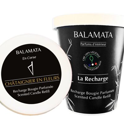 Châtaignier En fleurs - Recharge Bougie Parfumée 200G - En Corse