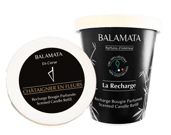 Châtaignier En fleurs - Recharge Bougie Parfumée 200G - En Corse 1