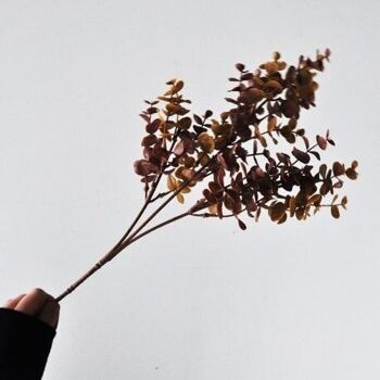 Branche d'eucalyptus brun - 62cm - Fleurs artificielles 6