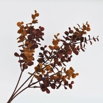 Branche d'eucalyptus brun - 62cm - Fleurs artificielles 8