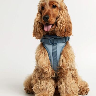 Rose blue dog harness