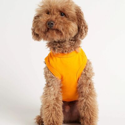 Imi Yellow Organic Cotton Dog Bodysuit Vest