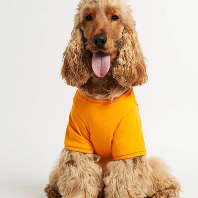 T-shirt Imi gialla in cotone biologico per cani