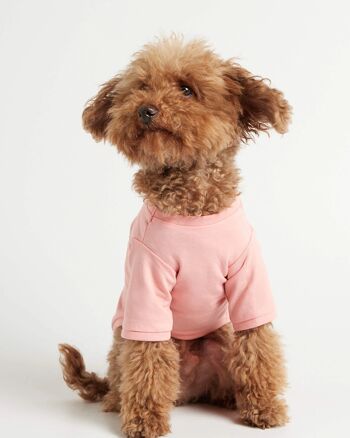 T-shirt rose pour chien en coton bio Imi 1