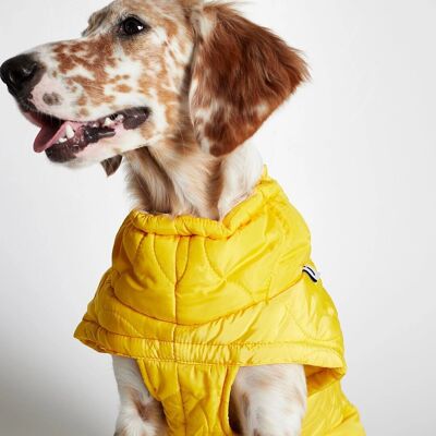 Chaqueta Al Yellow Dog Puffer Coat