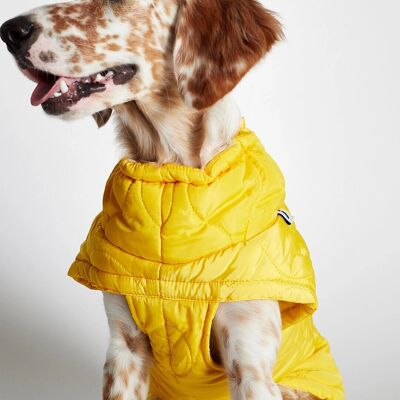 Chaqueta Al Yellow Dog Puffer Coat