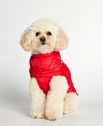 Manteau matelassé pour chien Chaqueta Al rouge 1