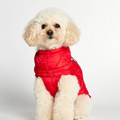 Chaqueta Al Red Dog Puffer Coat