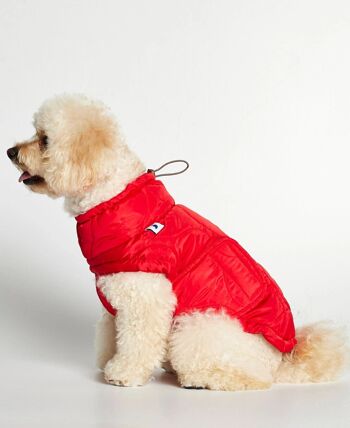 Manteau matelassé pour chien Chaqueta Al rouge 2