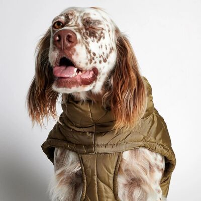 Al Green Dog Puffer Coat Jacket