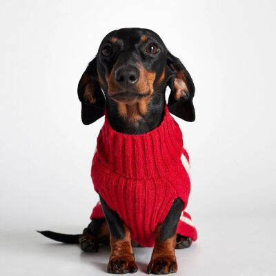 Pull pour chien en laine mérinos rouge et rose Donald