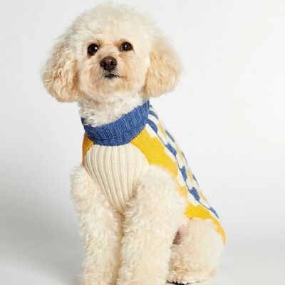 Suéter de perro de lana merino azul y amarillo Donald