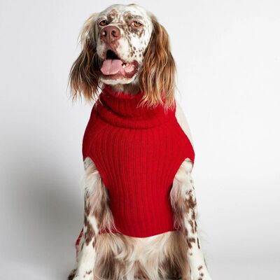 Pull pour chien en laine mérinos rouge René