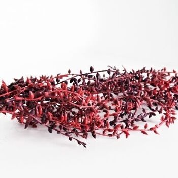 Branche de feuillage bordeaux - 88cm - Fleurs artificielles 2