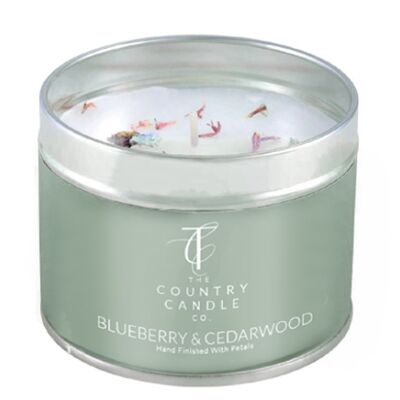 Pastels - Blueberry & Cedarwood Tin Candle