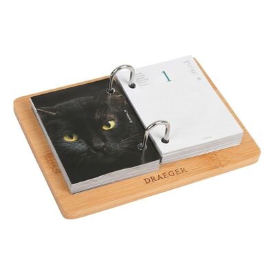 CATS 2023 ephemeris diary box