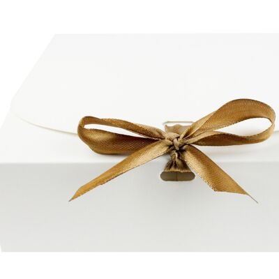 Pack of 12 Square, White Box with Bow Ribbon